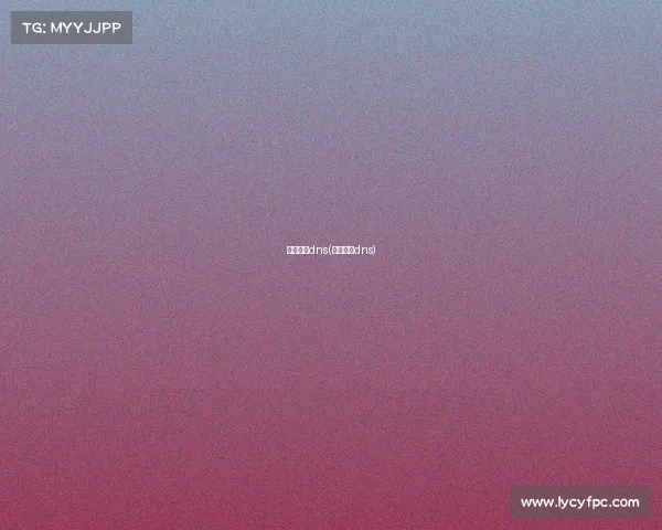 赛事排名dns(比赛成绩dns)